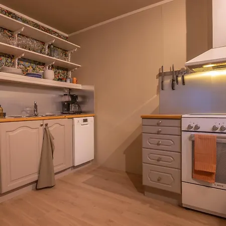 Cozy And Spacious In Centre Apartment *